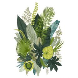 BOTANICAL ILLUSTRATION canvas