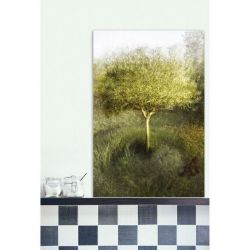 OLIVE TREE IN MY GARDEN canvas print