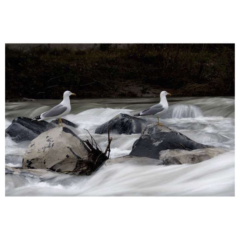 Lienzo ORILLA DE RIO ENCANTADO - Lienzo paisaje y naturaleza