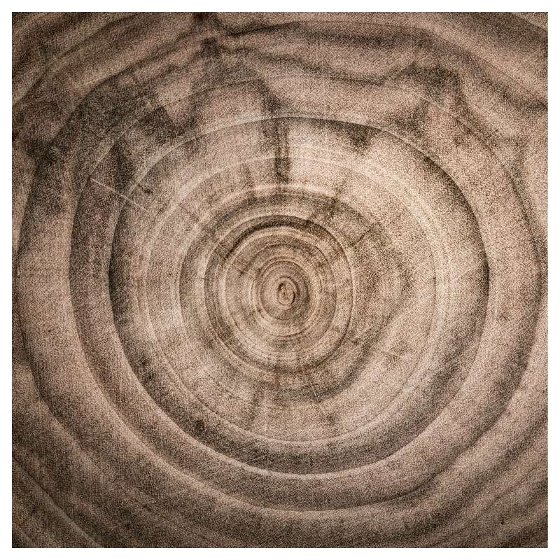 TREE RINGS canvas print - Scandinavian painting