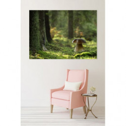 WOOD MUSHROOM canvas print