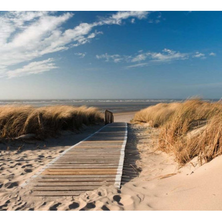 Poster CHEMIN DES DUNES grand format