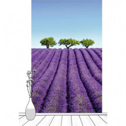 Tapiz para pared COLOR LAVANDA