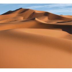 Póster SAHARA