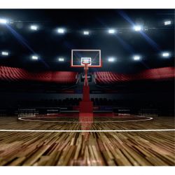 Poster SALLE DE BASKET