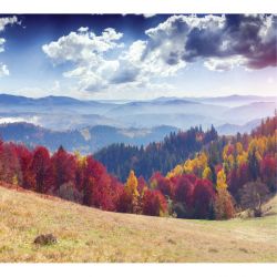 Papel pintado PAISAJE DE OTOÑO