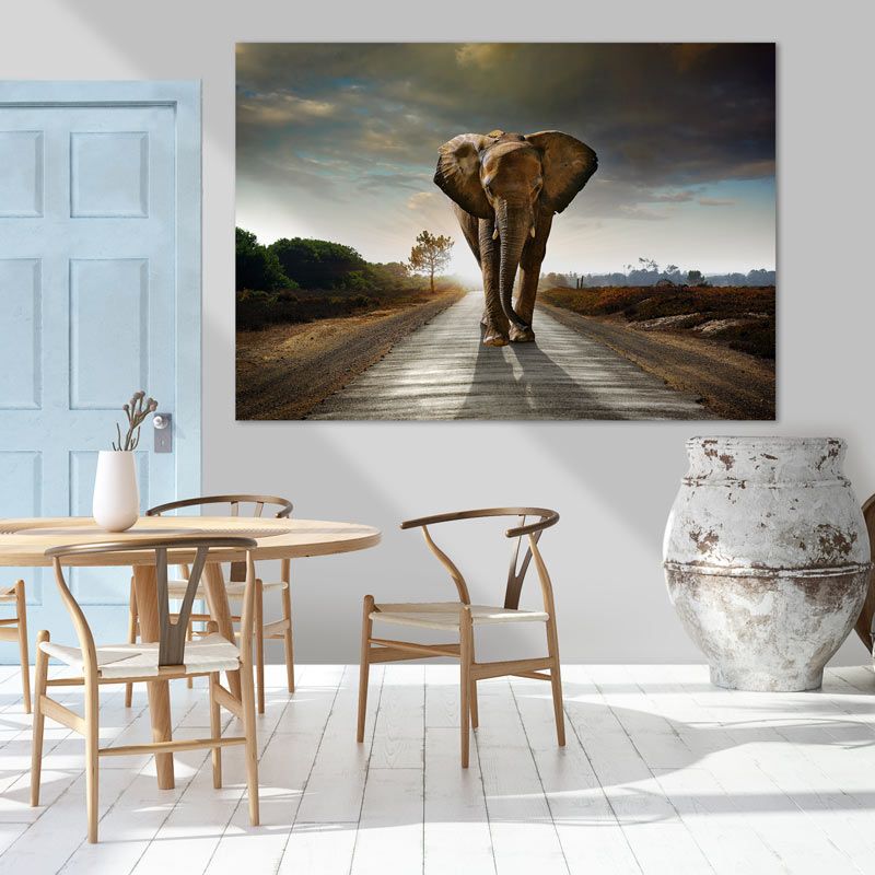 Tableau mural éléphant sur la route face à vous