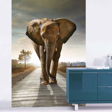 Papier peint éléphant déco salon