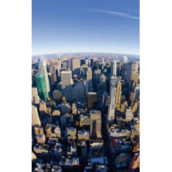 FISHEYE NEW YORK wall hanging