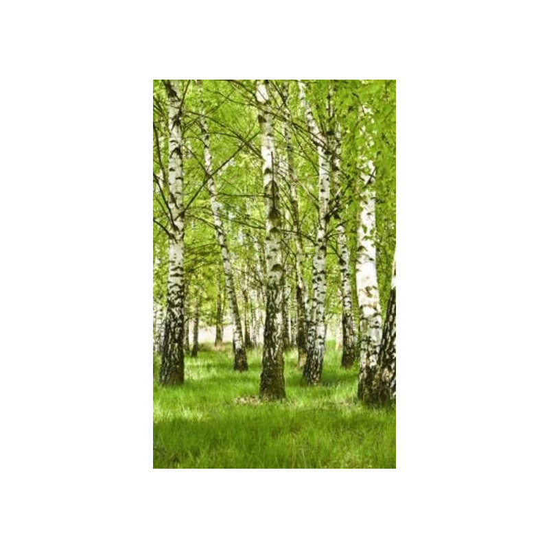 BIRCH FOREST Wall hanging - Nature wall hanging