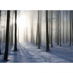 WINTER FOREST canvas print