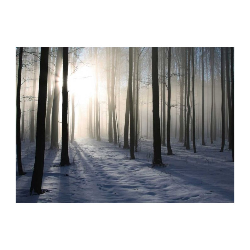 WINTER FOREST poster - Poster