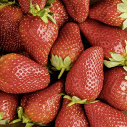 Tableau cuisine coupelle de fraises : décoration cuisine