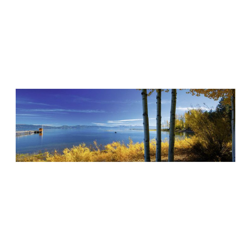 LAKE CABIN poster - Landscape and nature poster