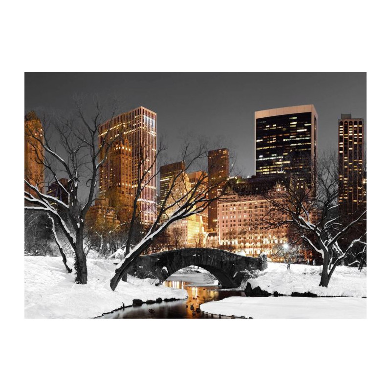 CENTRAL PARK LIGHTS poster - New york poster