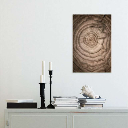 TREE RINGS poster