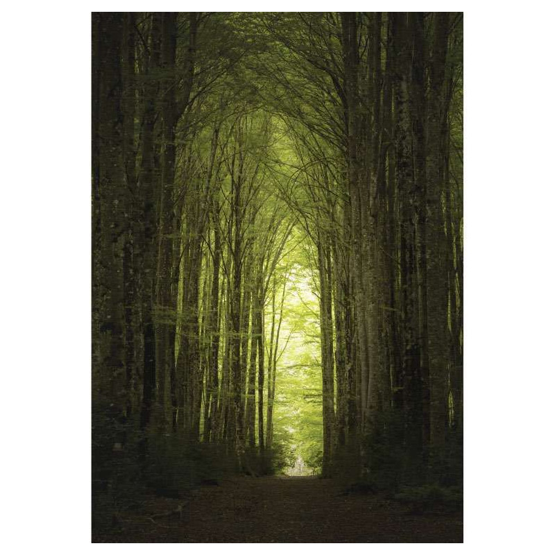 CHEMIN poster - Landscape and nature poster