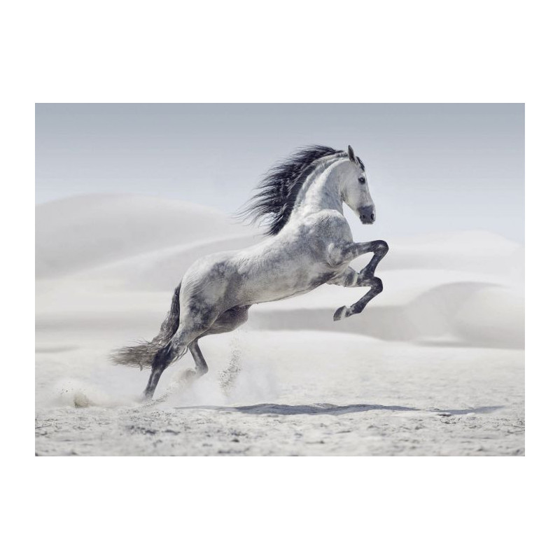 HORSE IN THE DESERT poster - Animal poster