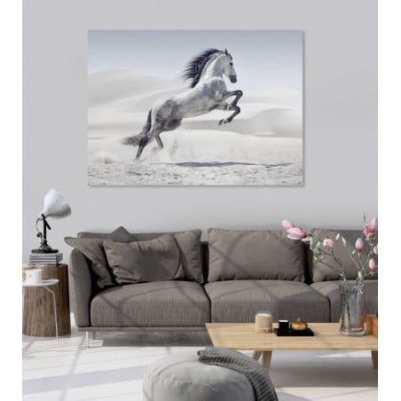 Poster salon cheval gris