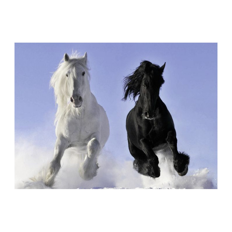 Poster CHEVAUX - Poster animaux