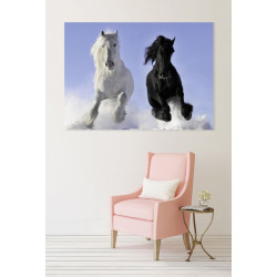 Poster CHEVAUX