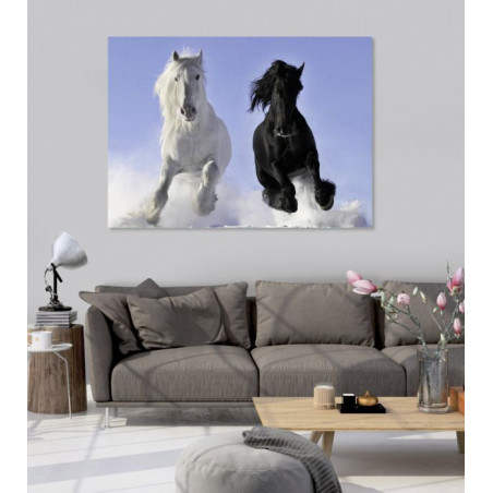 Black, white and blue horses photo poster