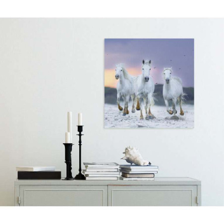 Poster CHEVAUX PROVENCAUX