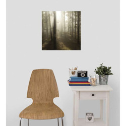 Poster CONTRE JOUR