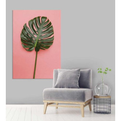 Poster feuille de monstera sur fond rose