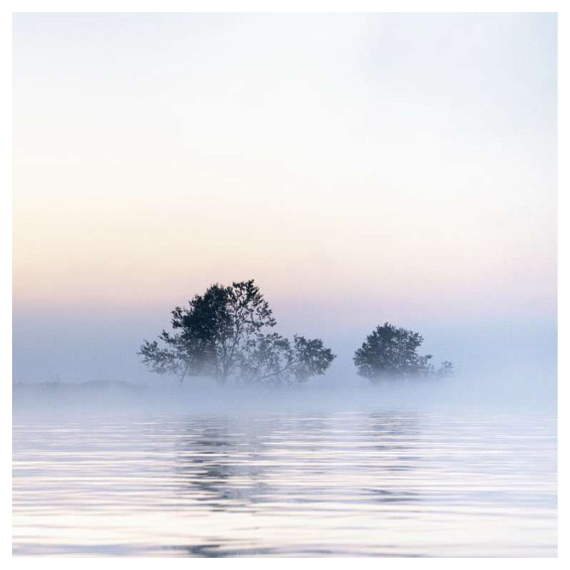 DANUBE DELTA poster - Office poster