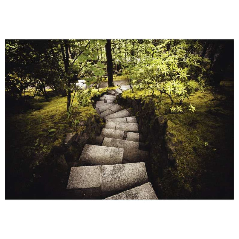 STEPS poster - Landscape and nature poster