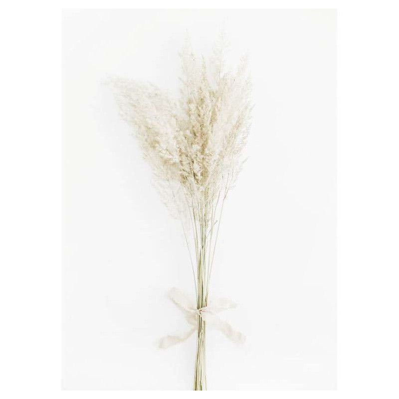 DRIED FLOWERS poster - Flower poster