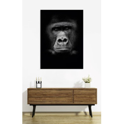 GORILLA poster