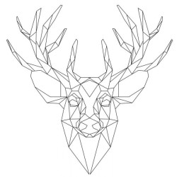 GRAPHIC DEER