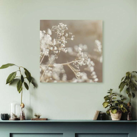 GYPSOPHILA poster