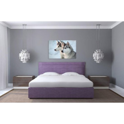 Husky poster