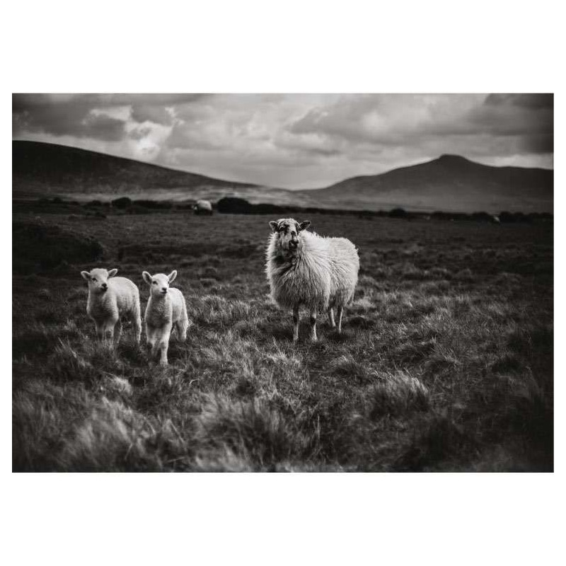 Póster COSTA OESTE DE IRLANDA - Poster en blanco y negro