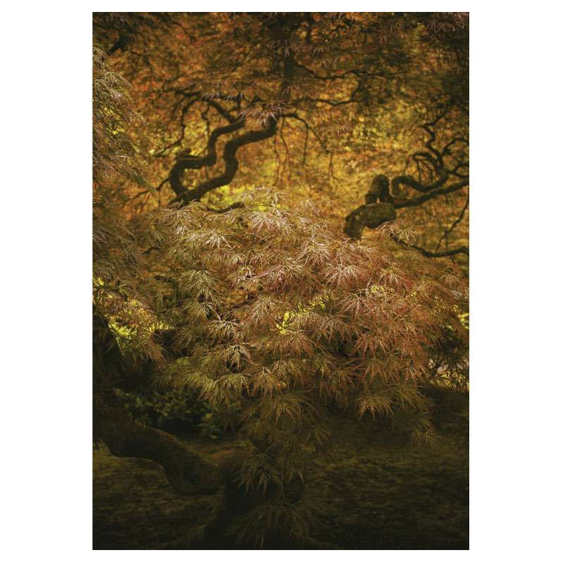 JAPANESE GARDEN PORTLAND poster - Zen poster