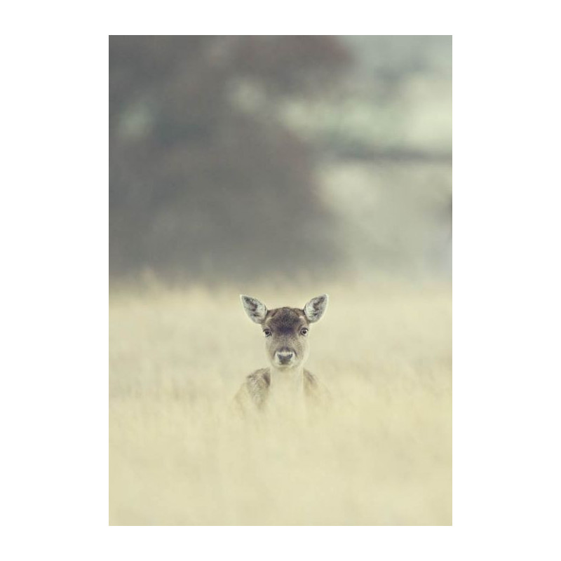 Póster EL BICHO - Poster de animales