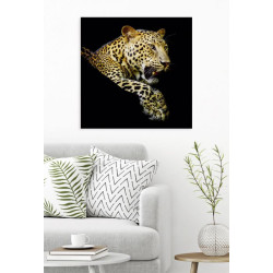 LEOPARD'S NAP poster