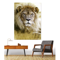 Poster LION