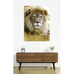 LION poster