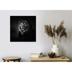 BLACK AND WHITE LION poster