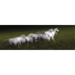 LIPIZZAN