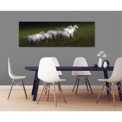 LIPIZZAN poster