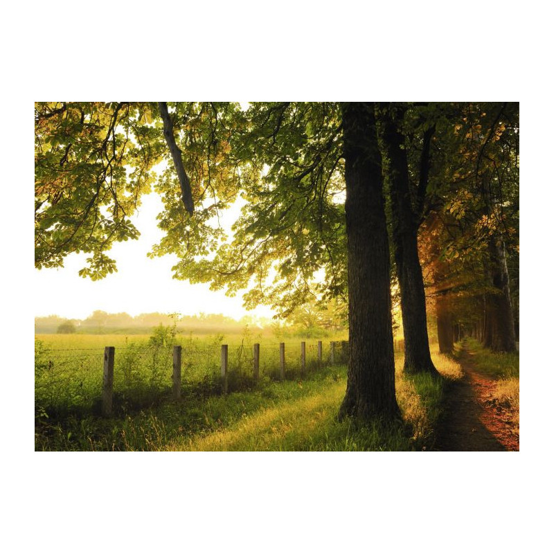 Poster LISIERE - Poster paysage et nature