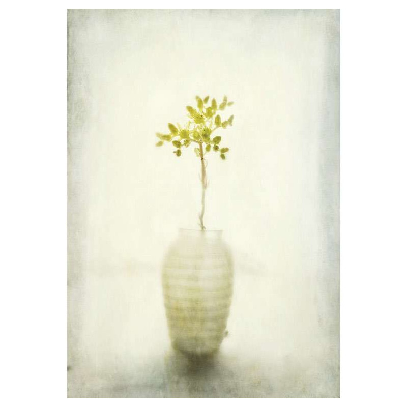 YELLOW INTERIOR LIGHTS poster - Flower poster