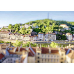 LYON TILT SHIFT