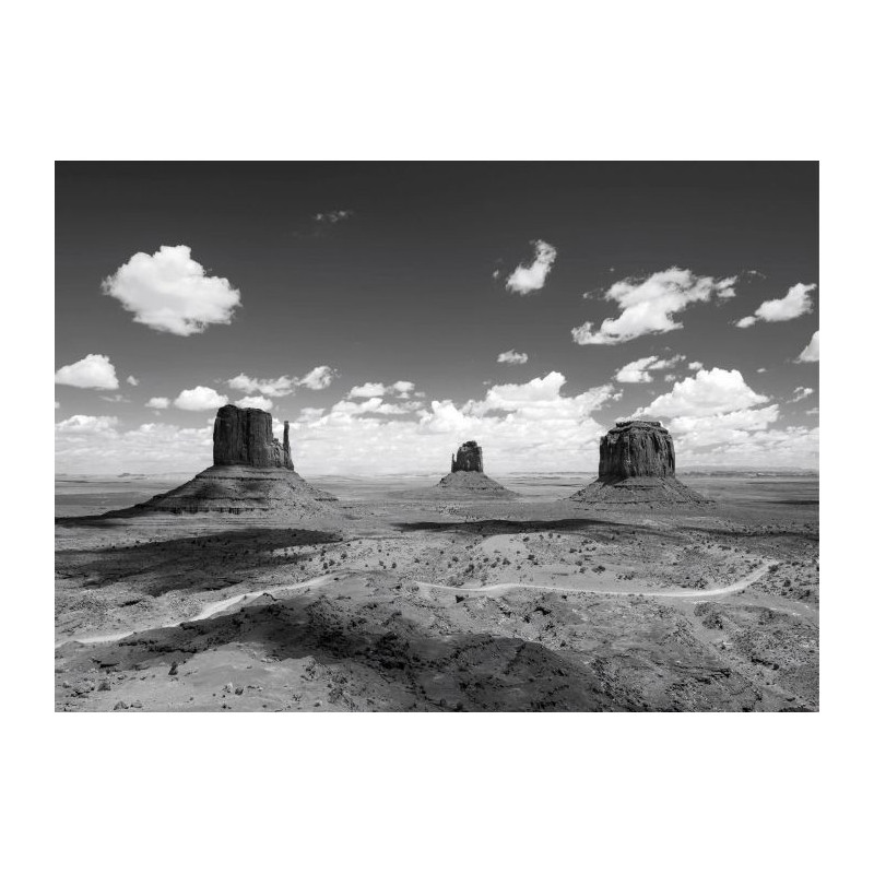 Póster MONUMENT VALLEY NB - Poster en blanco y negro