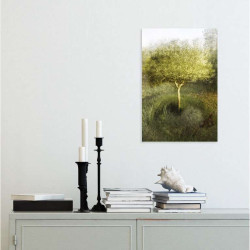 OLIVE TREE IN MY GARDEN poster